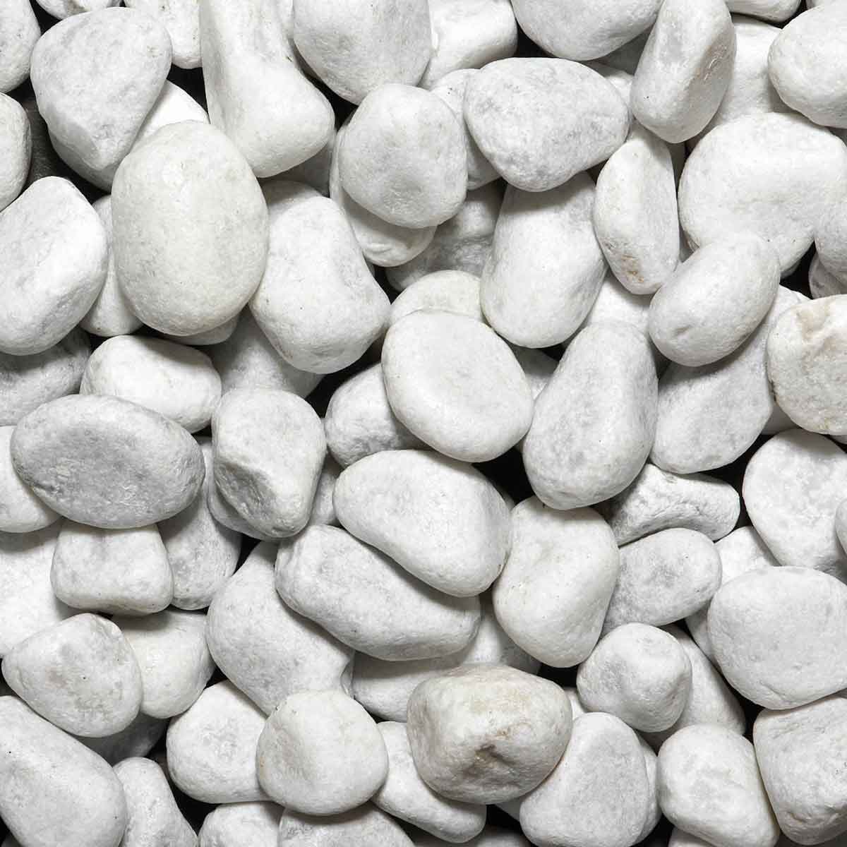 carrera