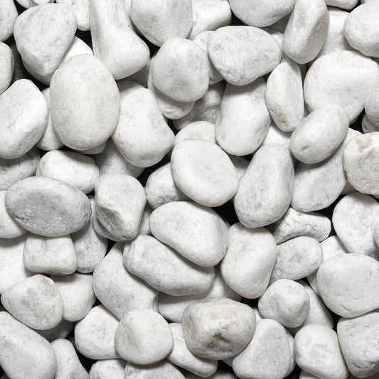 carrera